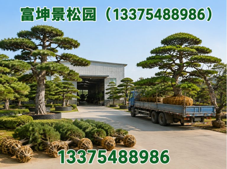 富坤景松园（13375488986）公司介绍图